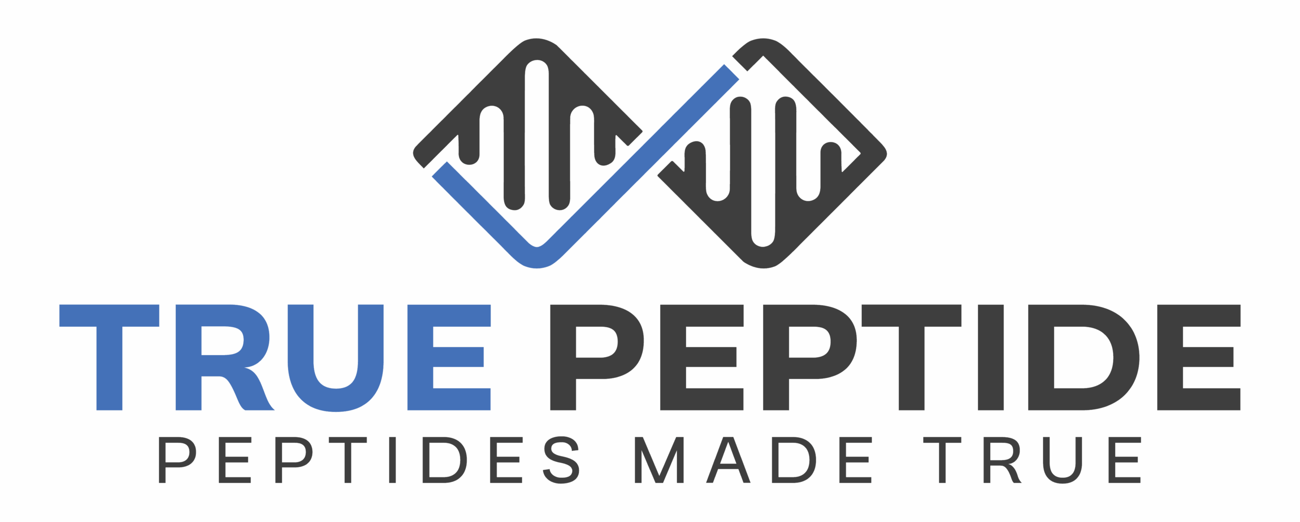 logo (6)
